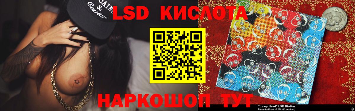 LSD-25 экстази кислота  ЛСД экстази кислота  Вход с VPN  Новоалександровск 