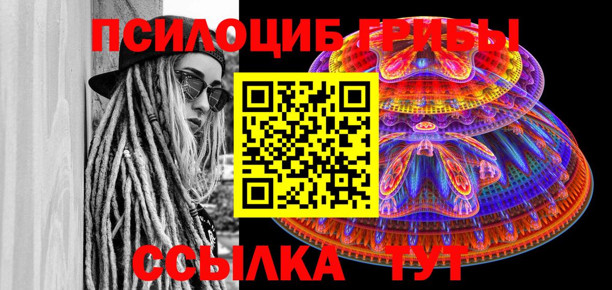Галлюциногенные грибы MAGIC MUSHROOMS  Вход с VPN  Псилоцибиновые грибы прущие грибы  Новоалександровск 